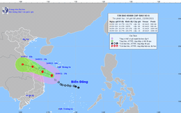 Bão số 6 gió giật cấp 10, cách bờ biển Bình Định khoảng 180km
