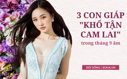 Tháng 9 âm có 3 con giáp "khổ tận cam lai" được quý nhân trợ giúp, Thần tài ưu ái, cuộc sống dư dả, viên mãn