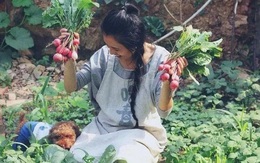 Cô gái trẻ bỏ phố về quê, sống những ngày an yên trong nhà thuê cùng khu vườn đủ loại rau trái