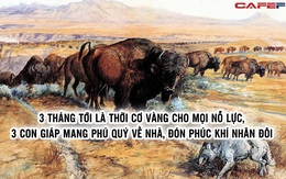 3 tháng tới là thời cơ vàng cho mọi nỗ lực, 3 con giáp mang phú quý về nhà, đón phúc khí nhân đôi