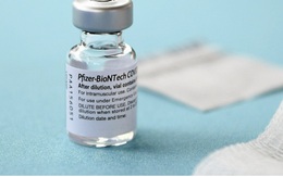 Pfizer bắt đầu thử nghiệm thuốc phòng tránh Covid-19 dạng uống