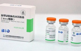 Chính phủ bổ sung kinh phí mua 20 triệu liều vaccine Vero Cell