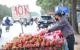 Thanh long tại Việt Nam bán 'giải cứu' 5.000-10.000 đồng/kg nhưng xuất sang châu Âu giá 400.000 đồng 1 quả