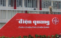Bóng đèn Điện Quang (DQC): Năm 2021 doanh thu ước đạt 750 tỷ đồng, tiếp tục tìm kiếm đối tác chiến lược