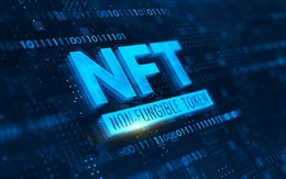 Đầu tư 30 tỷ đồng vào bộ sưu tập NFT, người mua bàng hoàng khi bên bán "bốc hơi"