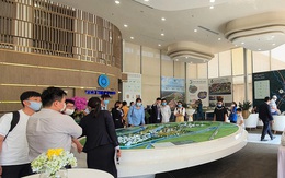 Năm 2022 sẽ là năm đầy thú vị của thị trường nhà phố, biệt thự tỉnh lân cận Sài Gòn