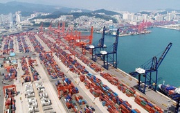 Cảng container lớn nhất thế giới tắc nghẽn nghiêm trọng, cả thế giới gánh hậu quả từ chính sách zero Covid của Trung Quốc