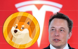 Tesla chính thức cho phép thanh toán một số sản phẩm của mình bằng Dogecoin