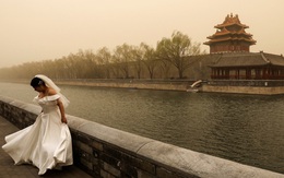 Xu hướng độc thân lên ngôi: Phụ nữ Trung Quốc nhất định phải mua nhà trước khi kết hôn, sợ mất tự do hơn là ly dị