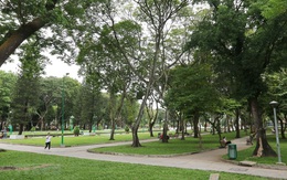 Hà Nội phê duyệt quy hoạch công viên hơn 18 ha tại thị trấn Trâu Quỳ