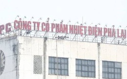 Nhiệt điện Phả Lại (PPC): Quý 4 thoát lỗ nhờ doanh thu tài chính và lãi khác