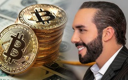 Rơi ở đâu gấp đôi ở đấy, Tổng thống El Salvador tiếp tục ‘bắt đáy’ 410 bitcoin giá chỉ 15 triệu USD