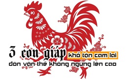 Trong năm tới, 3 con giáp có vận thế không ngừng lên cao, khổ tận cam lai, sức khỏe đủ đầy mà còn có thêm nhiều cơ hội phát triển tốt