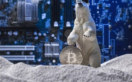 Không chỉ là ‘mùa đông Bitcoin’, chuyên gia khẳng định như đinh đóng cột ‘kỷ băng hà’ của thị trường tiền điện tử đã đến
