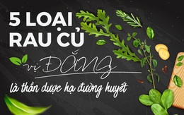 5 loại ĐẮNG là “thần dược” giảm đường huyết, kiểm soát tiểu đường đáng kể: Loại đầu tiên rẻ bèo và bán đầy chợ