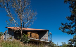 Nhà mái ngói hình lá sầu riêng của đôi vợ chồng trẻ miền Trung lên Đắk Nông lập nghiệp, đạt giải Bạc Kiến trúc Quốc gia 2021