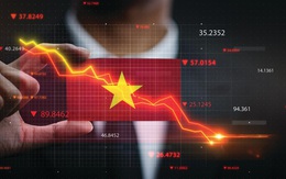 Thị trường tài chính Việt Nam: Một vài quan sát và cảnh báo