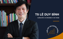 TS. Lê Duy Bình: 'Quá trình chuyển đổi số sẽ không thể phát triển mạnh nếu không có một cú hích từ đại dịch'