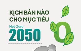 Kịch bản cho mục tiêu net-zero và năng lượng tái tạo: không chỉ là tiềm năng