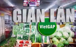 Rau VietGAP “rởm” tuồn vào siêu thị, đền bù thế nào cho người mua hàng?