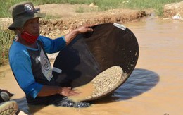 Nghề đào kim cương ở Indonesia: Đánh cược mạng sống