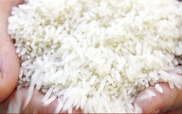 Giá gạo Ấn Độ cao nhất trong 1,5 năm qua