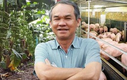 Giá chuối không cao như kỳ vọng, giá heo giảm, HAGL vẫn báo lãi 113 tỷ trong tháng 9