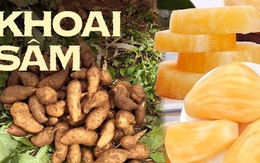 Đặc sản của Lào Cai giá chỉ 20 nghìn/kg, nhìn tưởng khoai lang nhưng thơm mùi nhân sâm