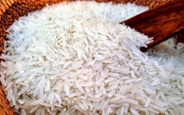 Giá gạo giảm mạnh nhất trong vòng 45 năm, người dân lo ngại giá thu mua thấp