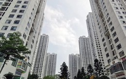 Giáo sư Đặng Hùng Võ: Người mua nhà nên chờ đợi giá bất động sản hạ để vào tiền