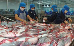 Cadovimex, Bianfishco, Hùng Vương...: "Phất" nhanh nhờ xuất khẩu tôm cá, đứng đầu ngành rồi nhanh chóng lụn bại, lỗ cả nghìn tỷ, thậm chí nộp đơn phá sản