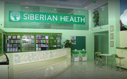 Trước khi bị thu giấy phép bán hàng đa cấp, Siberian Health từng có lợi nhuận lên đến cả trăm tỷ đồng