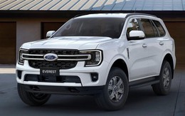 Ford và GM ra tay xử lý các đại lý bán 'bia kèm lạc', người dùng Việt chỉ biết 'ước'