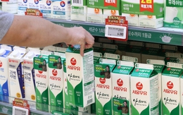 Hàn Quốc: 350 nhân viên công ty sữa buộc phải thôi việc, hé lộ nguyên nhân khiến ngành này lao đao tìm cách trở mình