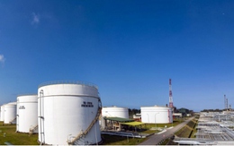 Xăng dầu sản xuất trong nước sẽ đảm bảo 80% nhu cầu thị trường