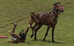 Thêm một doanh nghiệp sách đem tiền đi đầu tư cổ phiếu, hiện đã thua lỗ và phải trích lập gần 40% danh mục