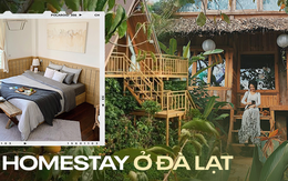 5 homestay đang được giảm giá ở Đà Lạt cho bạn thoả thích 'đón đầu' mùa hồng chín