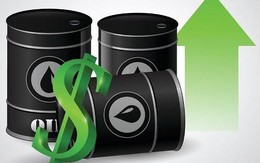 Giá dầu tăng vọt hơn 2% sau quyết định của OPEC+, các nhà giao dịch quá vội vàng để bán tháo hợp đồng dầu?