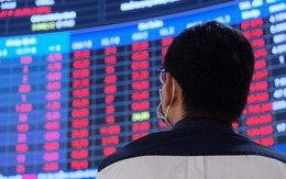 Tập trung mọi giải pháp để thị trường chứng khoán hoạt động ổn định