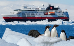 Công việc kỳ lạ ở vùng đất lạnh nhất thế giới: Đếm chim cánh cụt mỗi ngày nhưng phải vượt qua 6.000 ứng viên mới được chọn, thù lao tới 2.300 USD/tháng