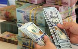 Chính phủ yêu cầu NHNN có giải pháp hạn chế tình trạng chuyển tài sản bằng tiền đồng sang ngoại tệ