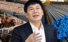 Thép "ế", doanh số trứng gà vượt đỉnh có giúp Hòa Phát vượt qua cửa khó?