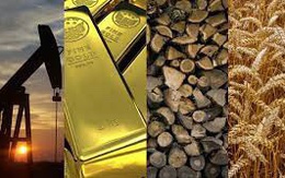 Thị trường ngày 12/11: Giá dầu, đồng, sắt thép và cao su đồng loạt tăng, vàng cao nhất gần 3 tháng