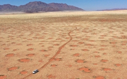 Lời đáp về vòng tròn bí ẩn ở hoang mạc khiến các nhà khoa học đau đầu 50 năm qua