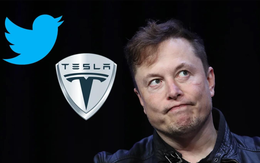 Cổ đông Tesla "nổi đoá" khi Elon Musk làm việc thâu đêm ở Twitter