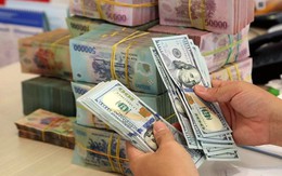 World Bank: NHNN Việt Nam nên bán ngoại tệ sáng suốt để bảo tồn dự trữ ngoại hối