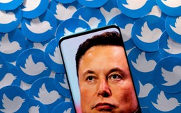 2 tuần sau khi khuấy tung Twitter, Elon Musk nói sẽ tìm CEO mới cho MXH này