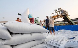 Xuất hiện tình trạng gạo Campuchia, Ấn Độ ồ ạt vào Việt Nam