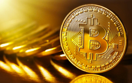 'Cá voi Bitcoin' tăng mạnh sau khi FTX phá sản