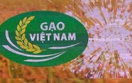 Phê bình Cục Chế biến và phát triển nông sản vì chậm tham mưu chứng nhận nhãn hiệu Gạo quốc gia